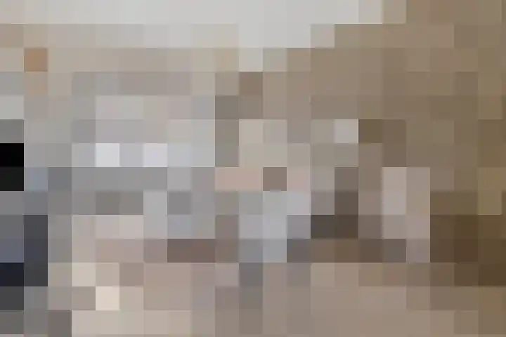 Ganzeweide 86 Heerlen thumbnail 7