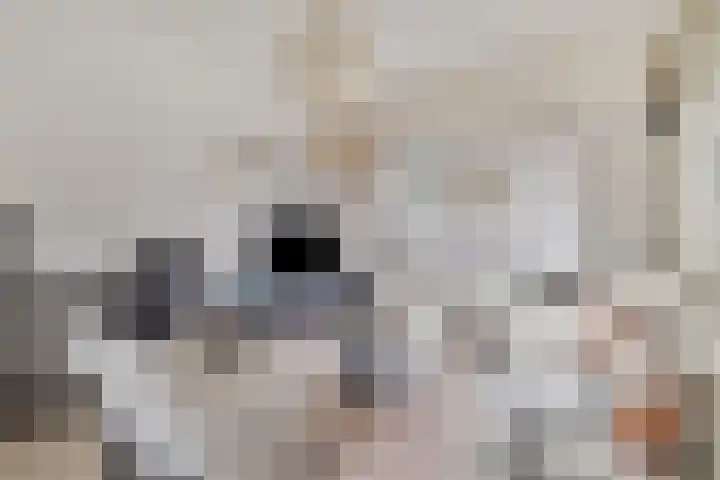 Ganzeweide 86 Heerlen thumbnail 8