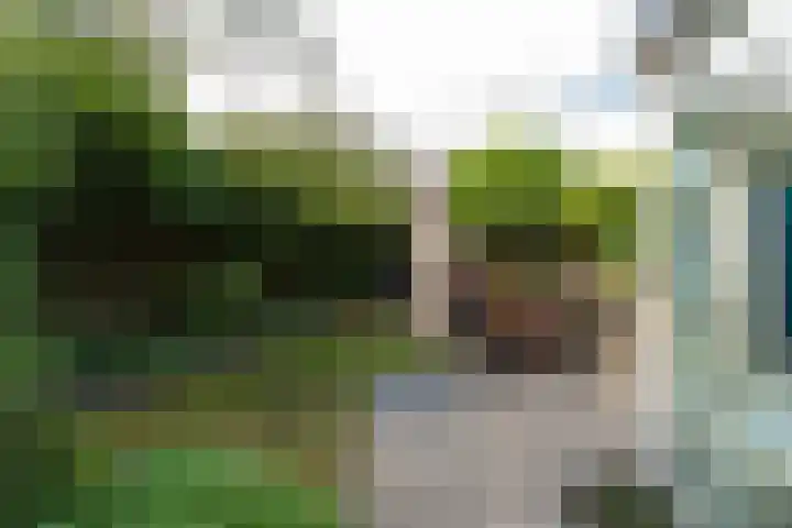 Ganzeweihof 5 Leusden thumbnail 21