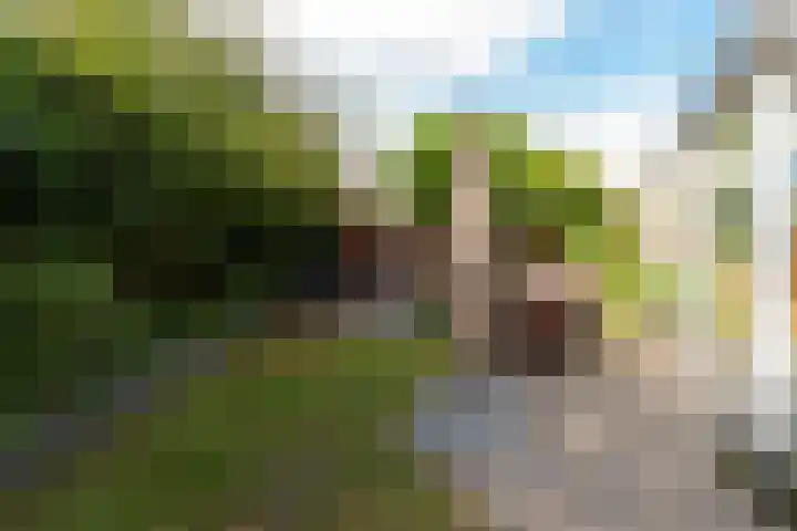 Ganzeweihof 5 Leusden thumbnail 22