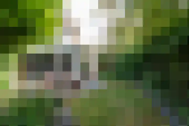 Ganzeweihof 5 Leusden thumbnail 23