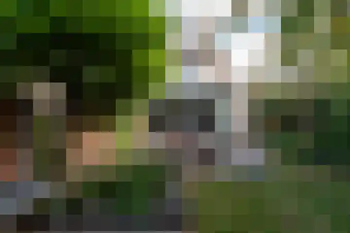 Ganzeweihof 5 Leusden thumbnail 24