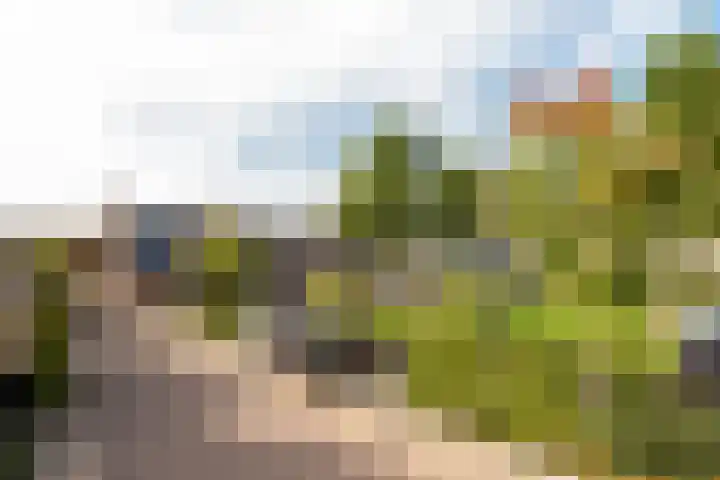Ganzeweihof 5 Leusden thumbnail 45
