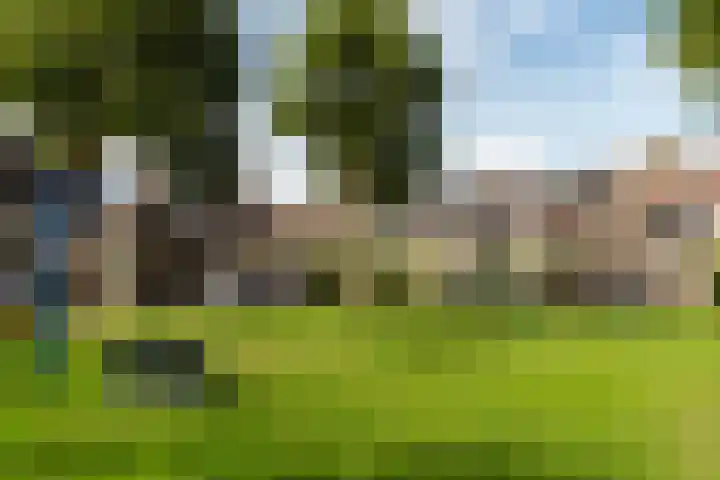 Ganzeweihof 5 Leusden thumbnail 47