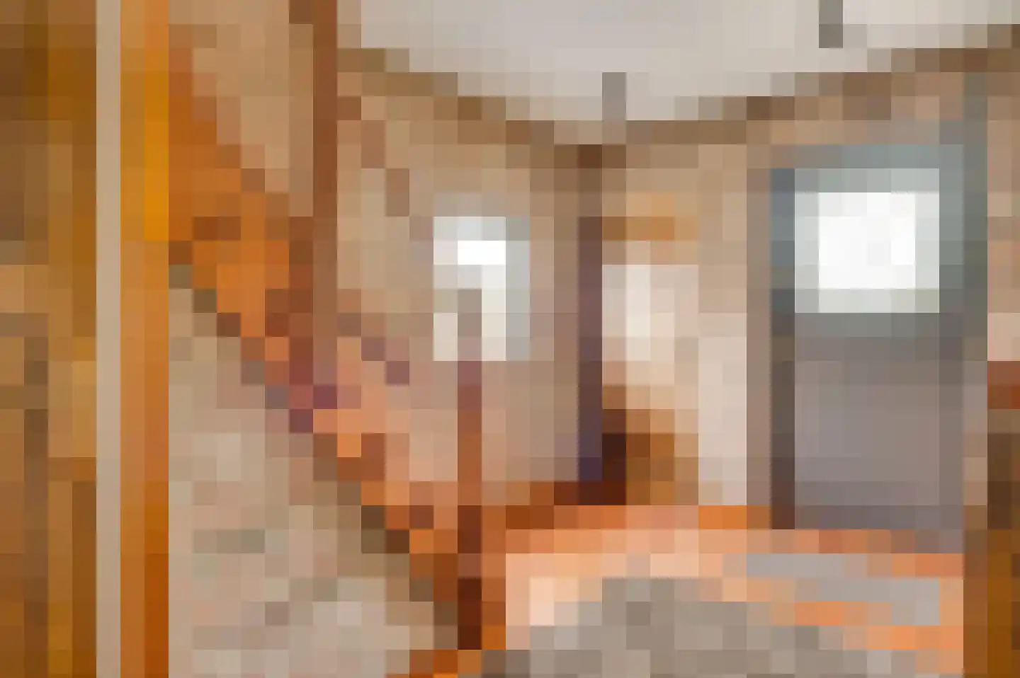 Ganzewinkel 1 Helmond thumbnail 18