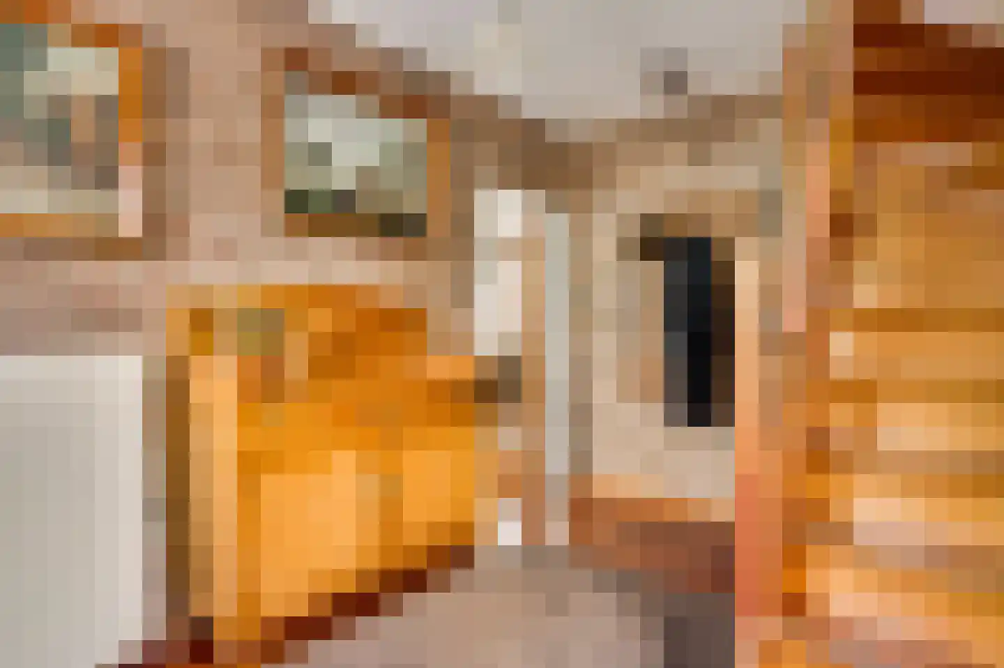 Ganzewinkel 1 Helmond thumbnail 19