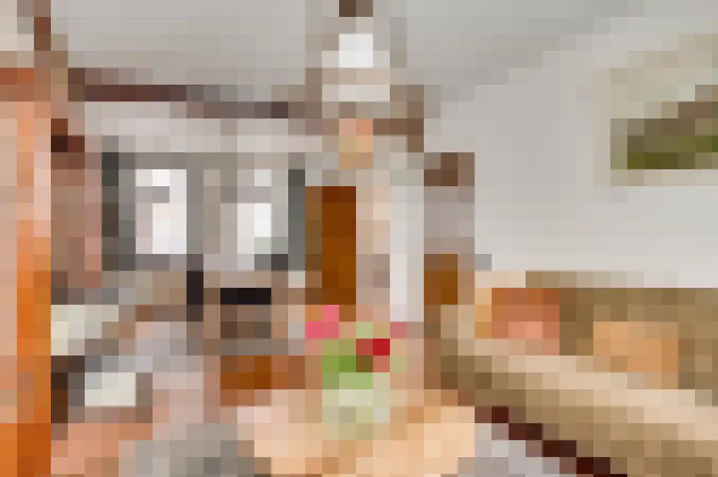 Ganzewinkel 1 Helmond thumbnail 21