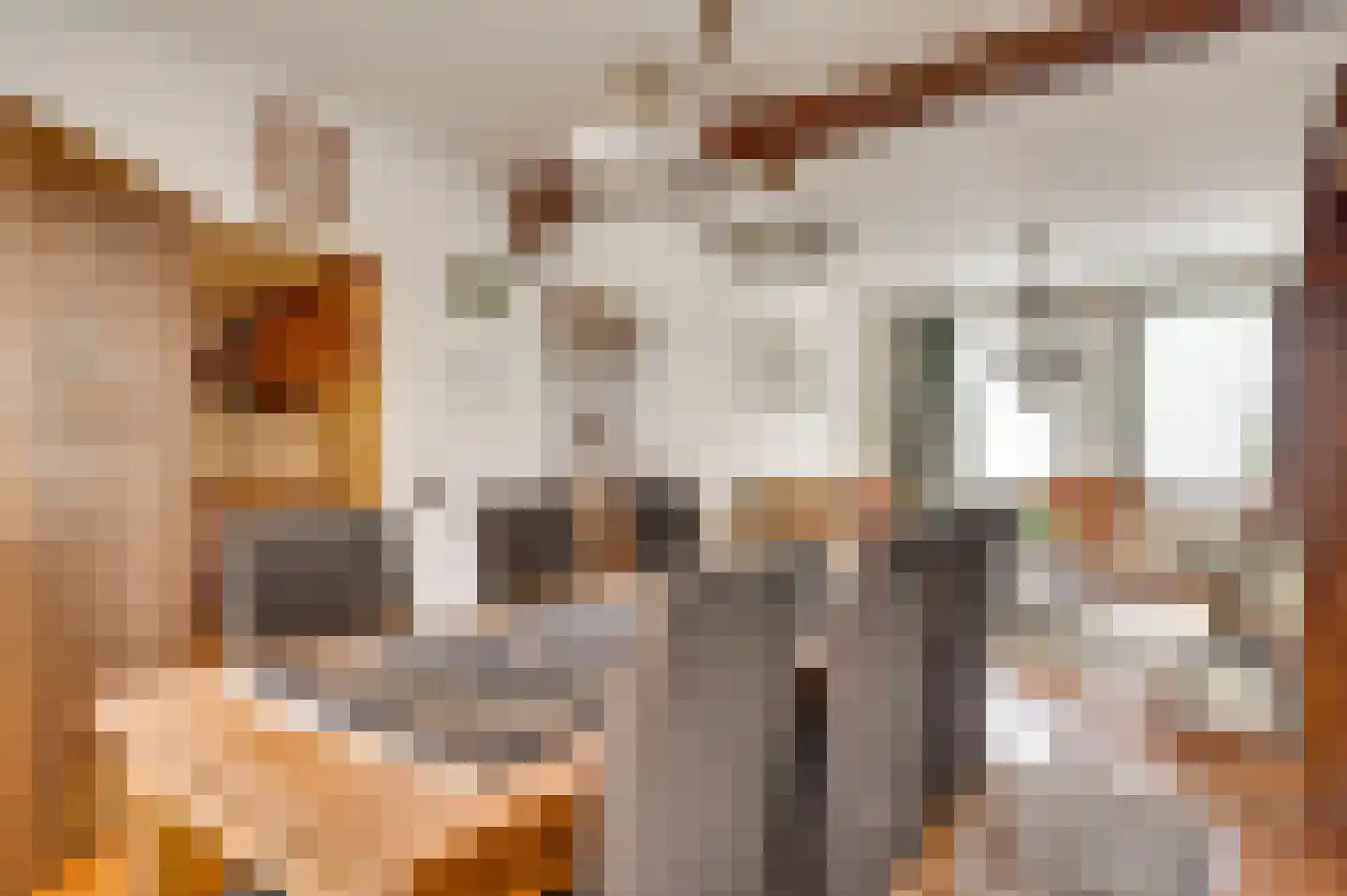 Ganzewinkel 1 Helmond thumbnail 23