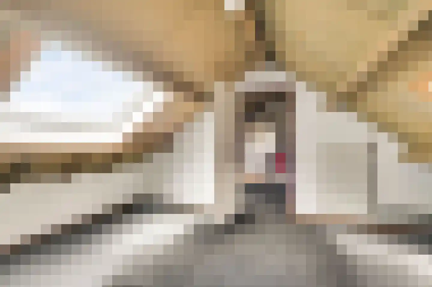 Ganzewinkel 1 Helmond thumbnail 39