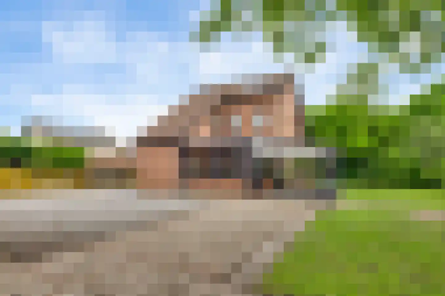 Ganzewinkel 1 Helmond thumbnail 41