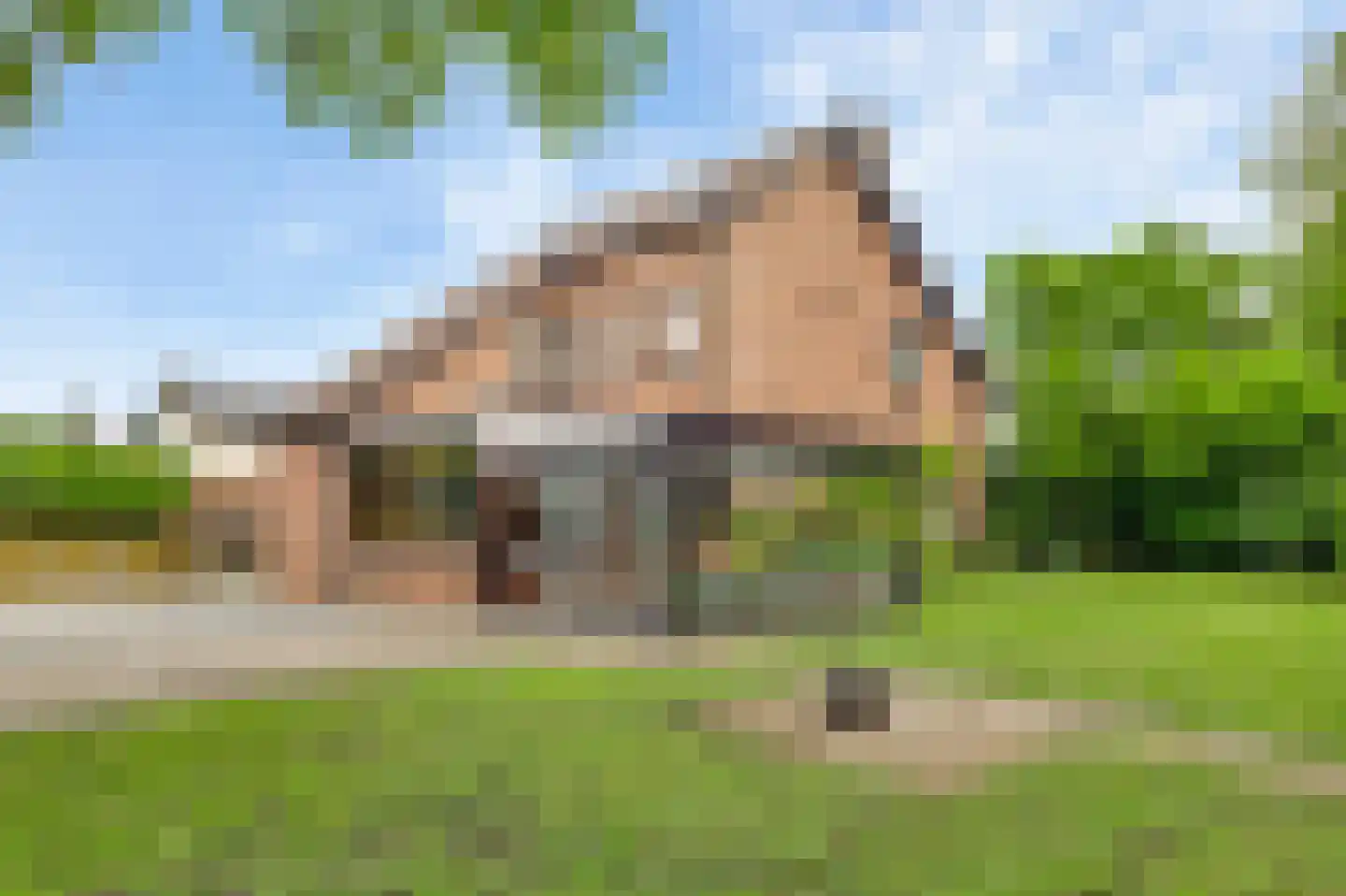Ganzewinkel 1 Helmond thumbnail 42