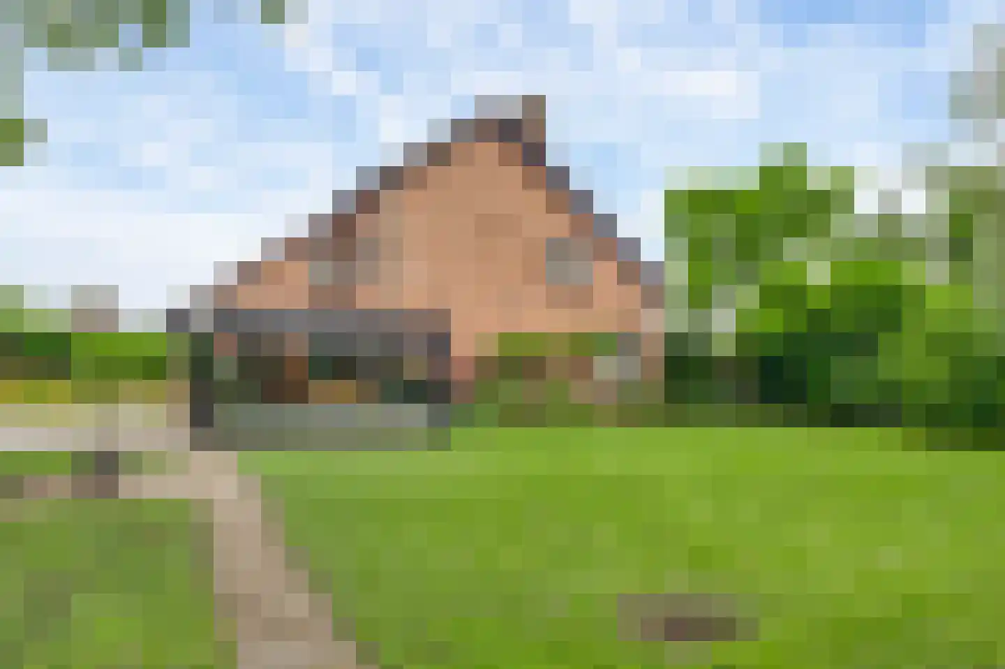 Ganzewinkel 1 Helmond thumbnail 43