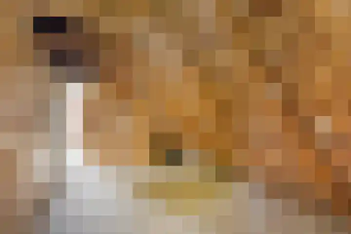Ganzingawei 30 Kollumersweach thumbnail 25