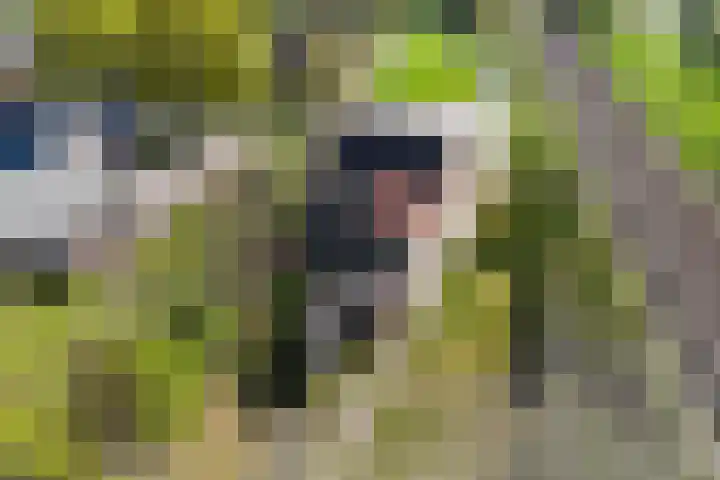 Ganzingawei 30 Kollumersweach thumbnail 31