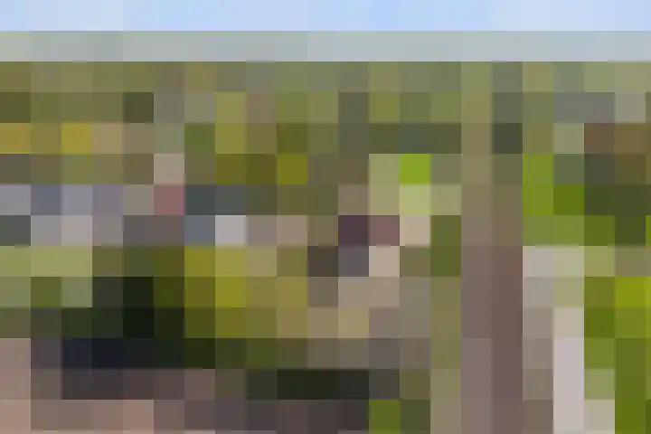 Ganzingawei 30 Kollumersweach thumbnail 32