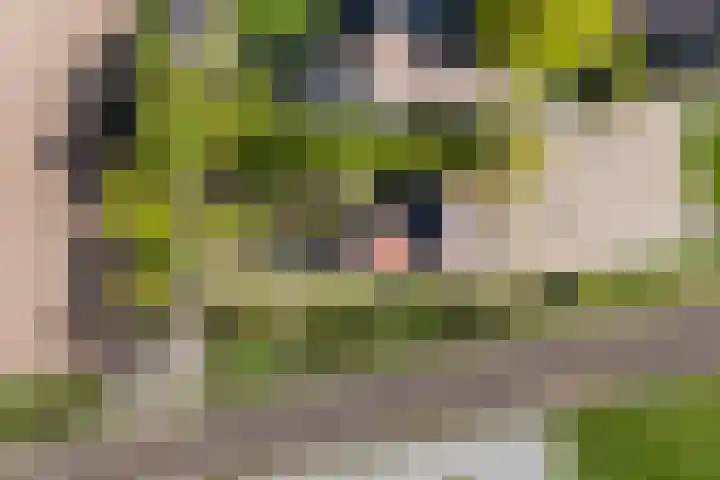 Ganzingawei 30 Kollumersweach thumbnail 33