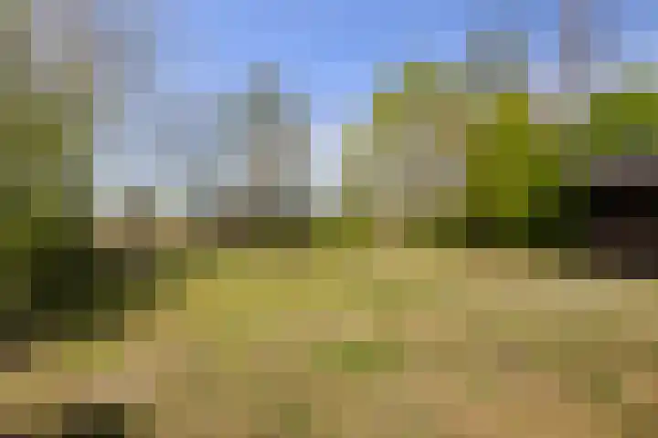 Ganzingawei 30 Kollumersweach thumbnail 36
