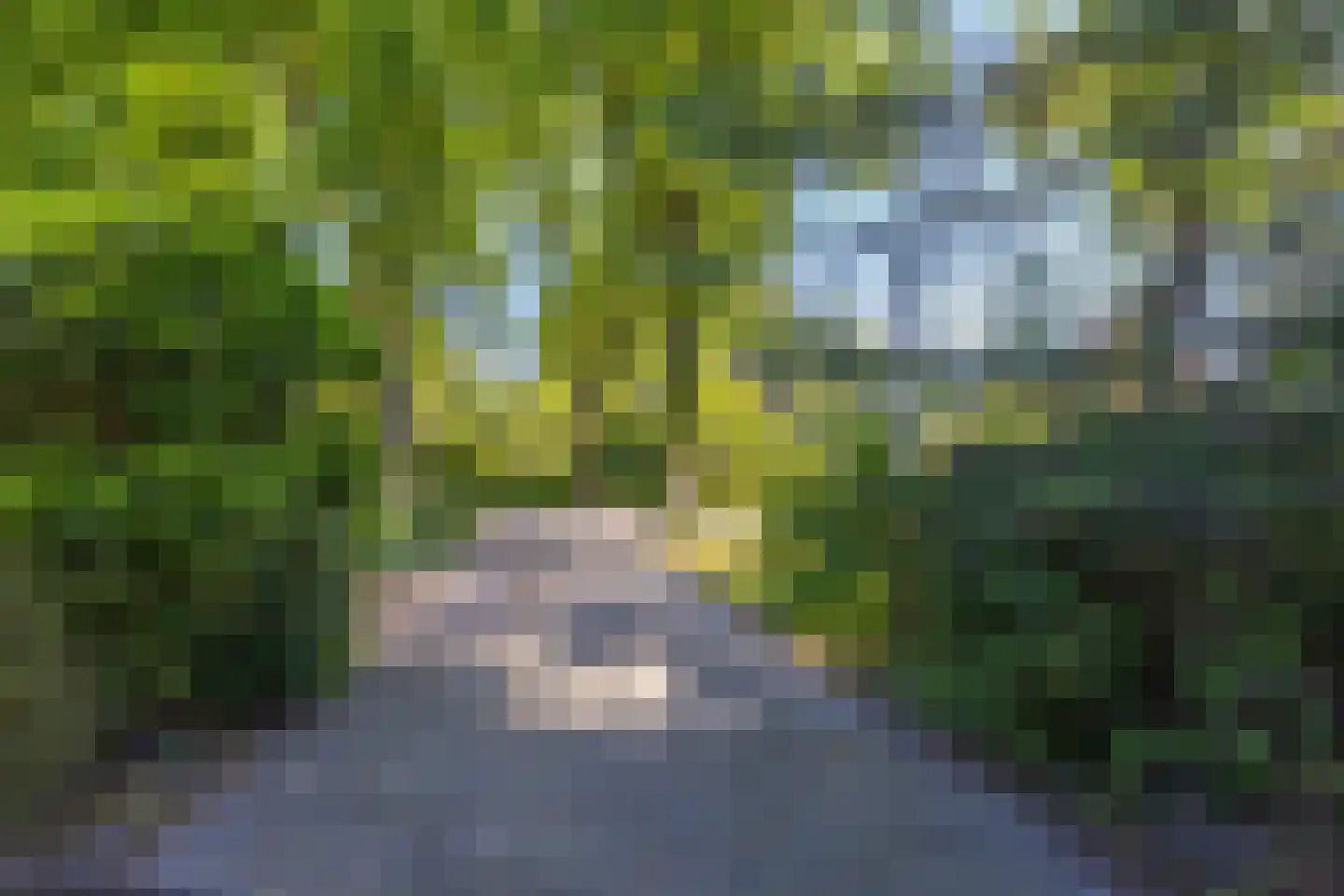 Ganzingawei 4 A Kollumersweach thumbnail 44