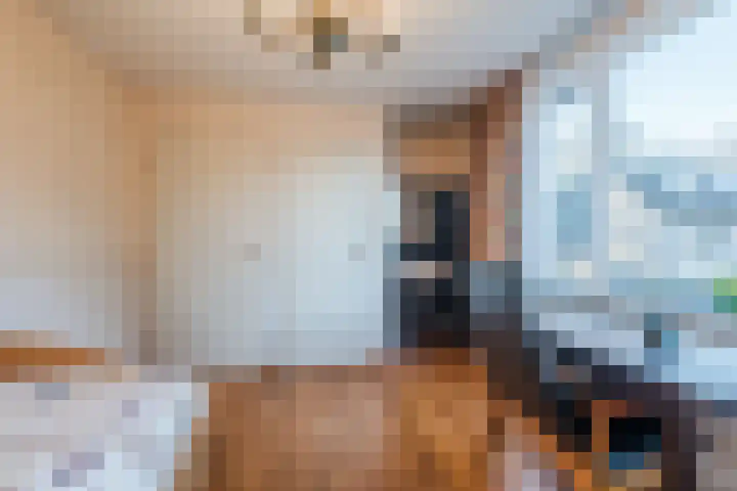 Gaobertstraat 24 Eersel thumbnail 27