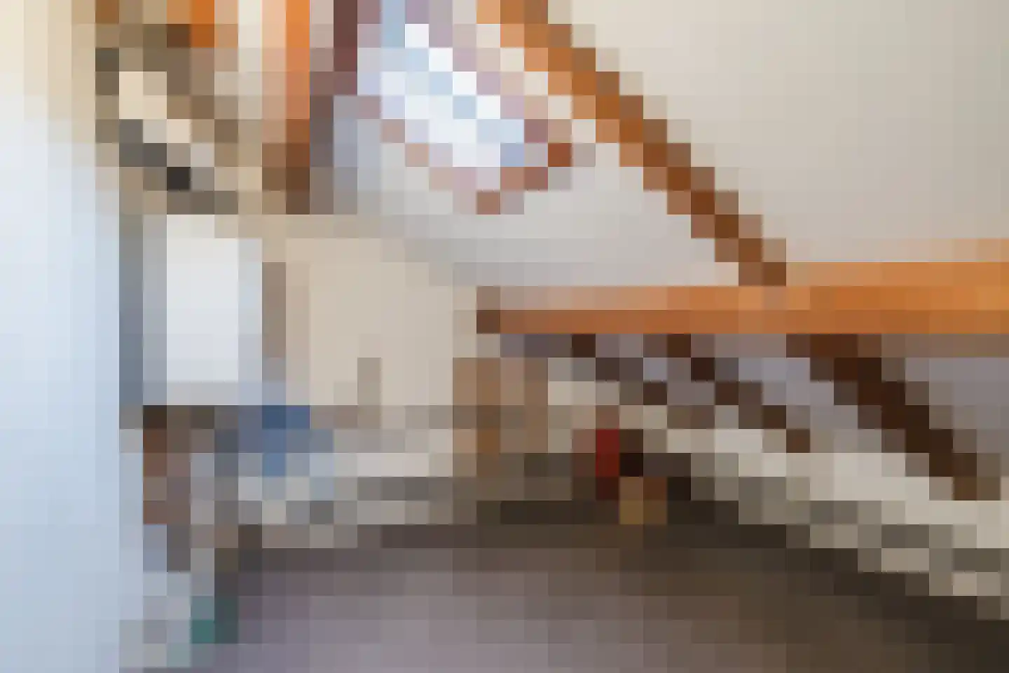 Gaobertstraat 24 Eersel thumbnail 39