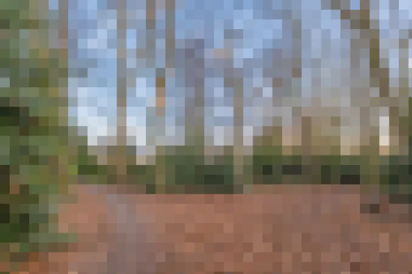 Gaobertstraat 24 Eersel thumbnail 48