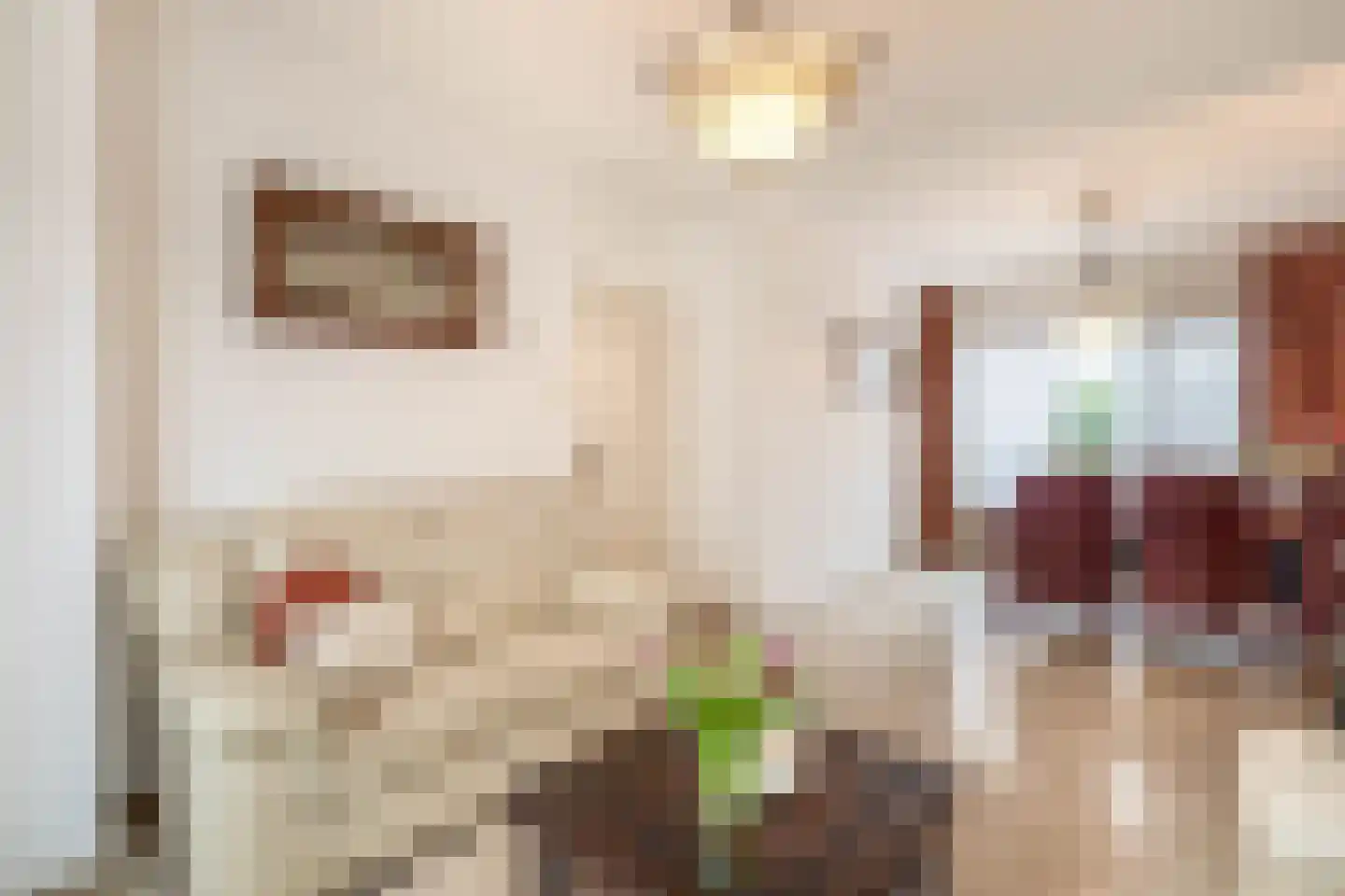 Gaobertstraat 7 Eersel thumbnail 10