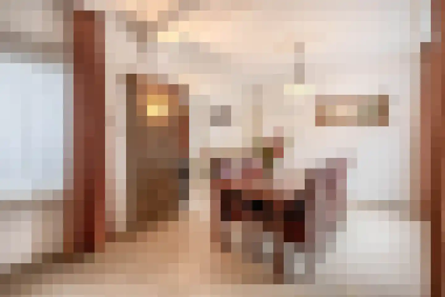 Gaobertstraat 7 Eersel thumbnail 13