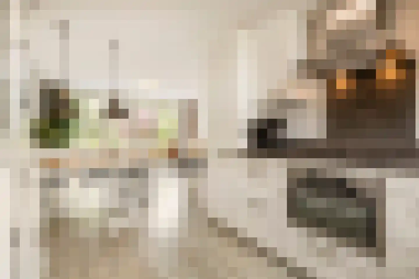 Gardameer 4 Amersfoort thumbnail 16