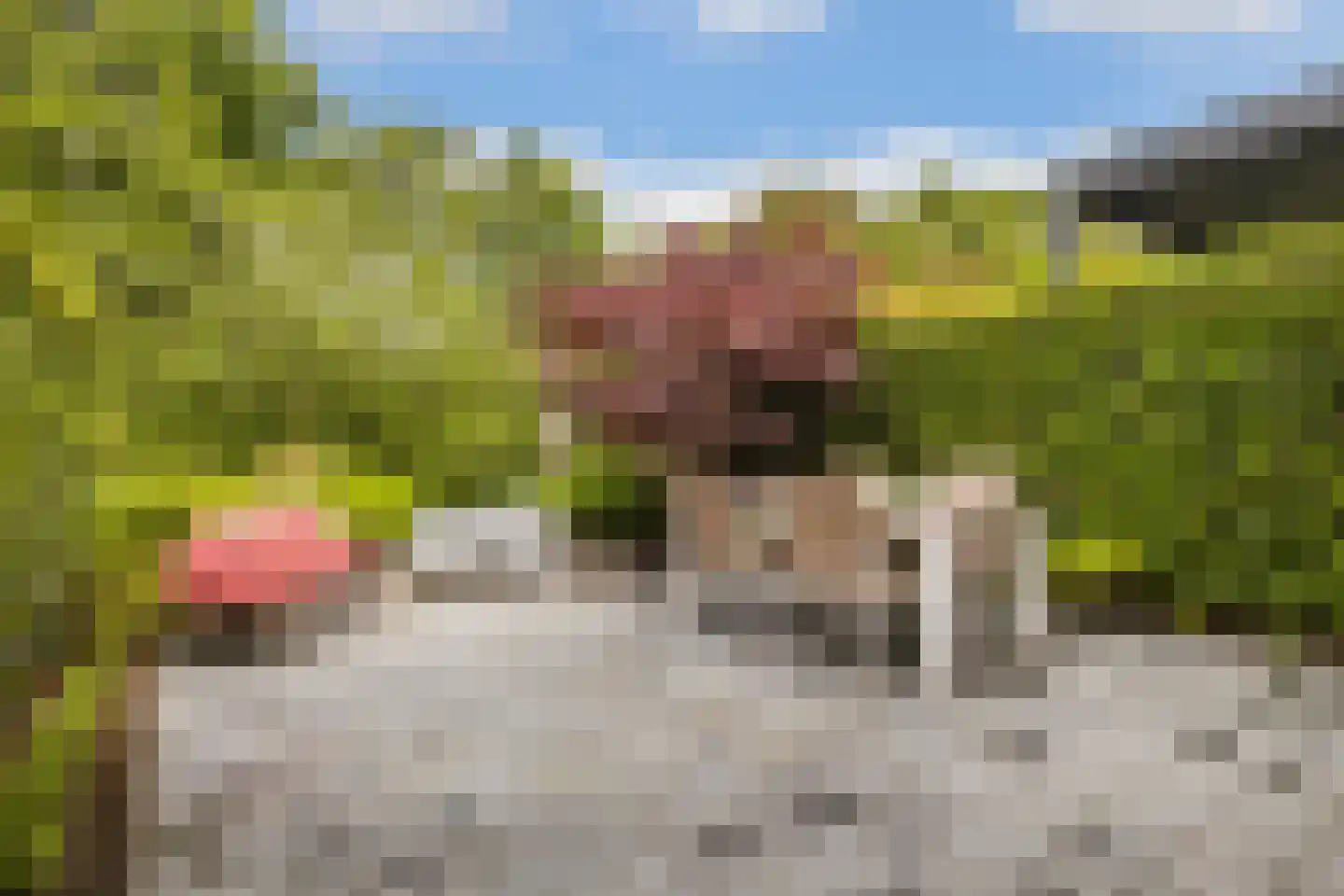 Gardameer 4 Amersfoort thumbnail 31