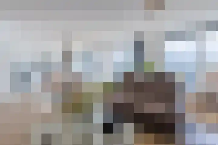 Gardameer 49 Woerden thumbnail 12