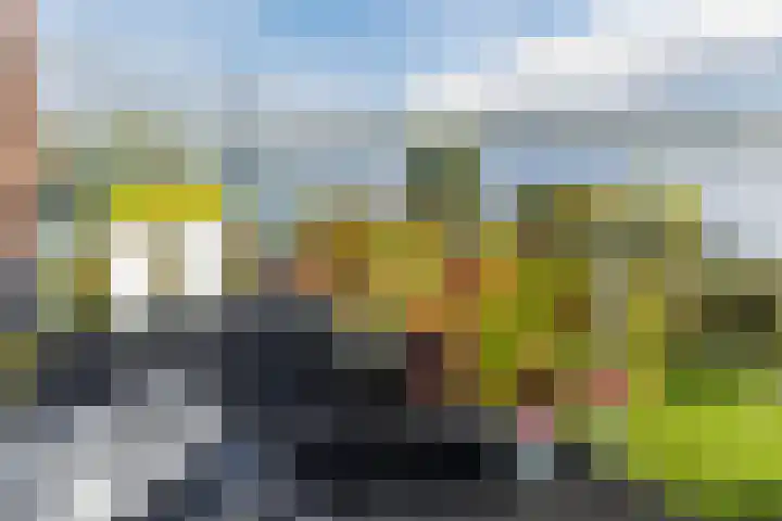 Gardameer 49 Woerden thumbnail 26
