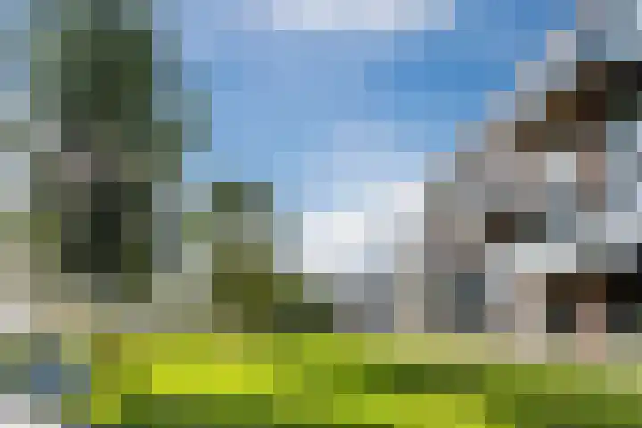 Gardameer 49 Woerden thumbnail 30