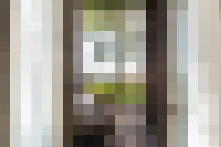Gardameer 73 Woerden thumbnail 15