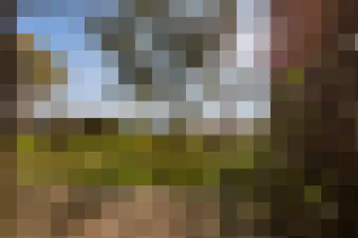 Gardameer 73 Woerden thumbnail 18
