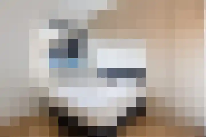 Gardameer 73 Woerden thumbnail 22