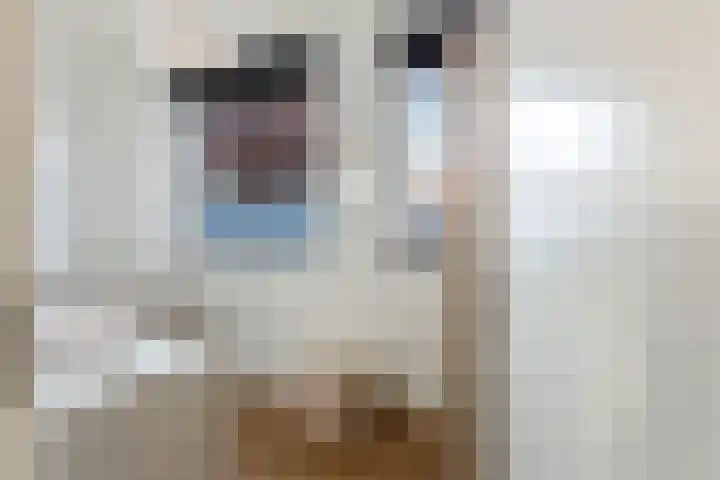 Gardameer 73 Woerden thumbnail 23