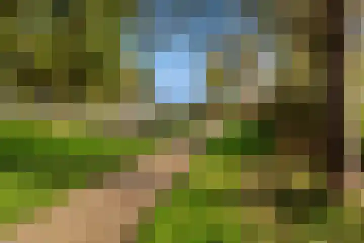 Gardameer 73 Woerden thumbnail 38