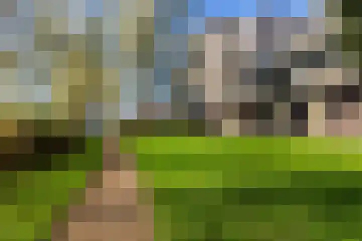 Gardameer 73 Woerden thumbnail 39