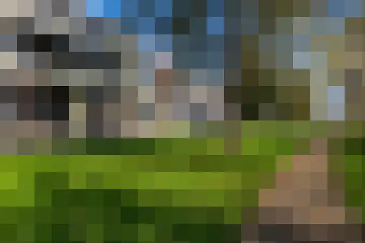 Gardameer 73 Woerden thumbnail 40