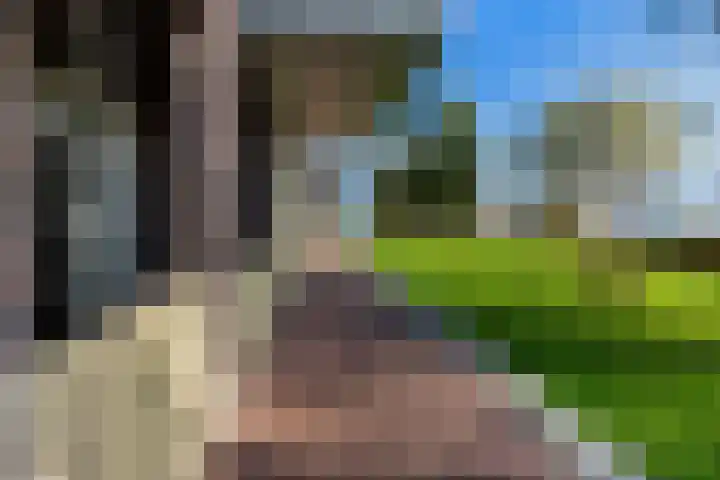 Gardameer 73 Woerden thumbnail 41