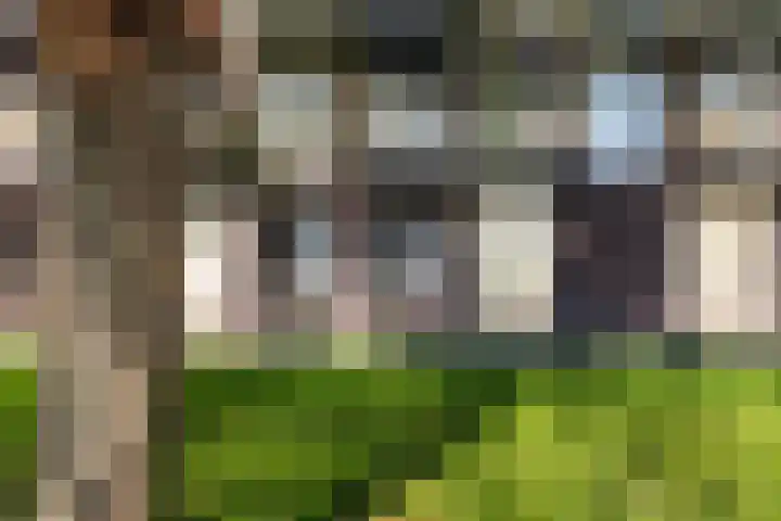 Gardameer 73 Woerden thumbnail 5