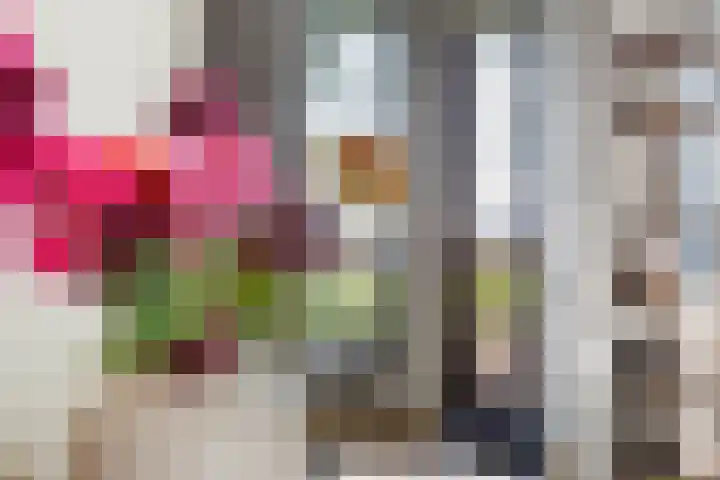 Gardameer 73 Woerden thumbnail 9
