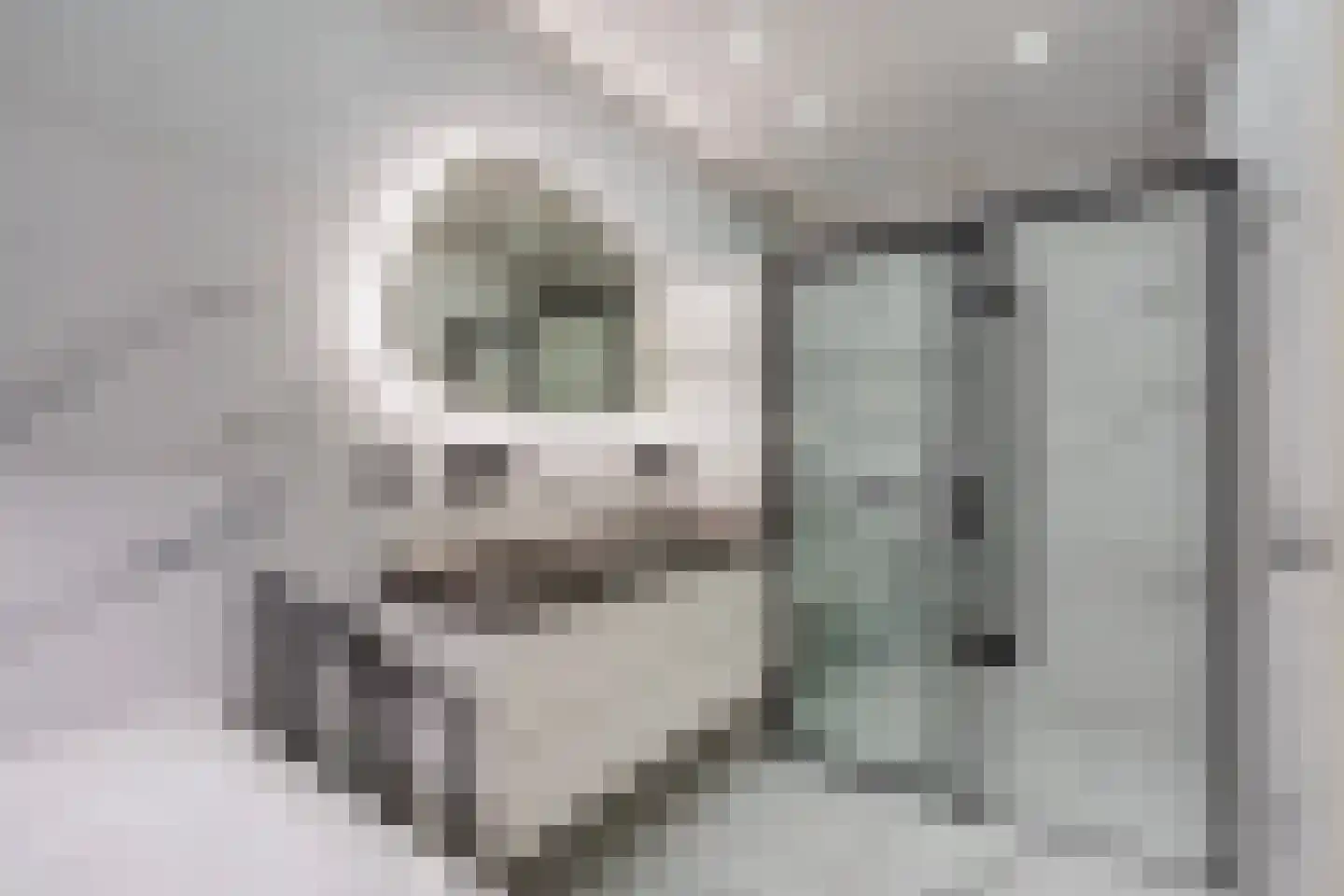 Gardameerpad 12 Zoetermeer thumbnail 33