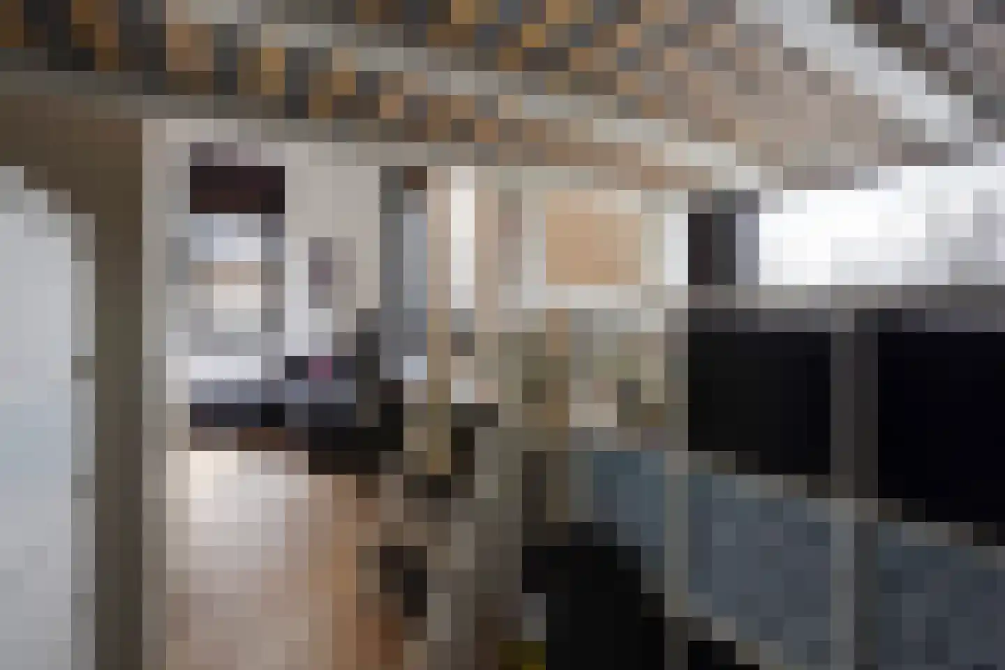 Gardameerpad 12 Zoetermeer thumbnail 42