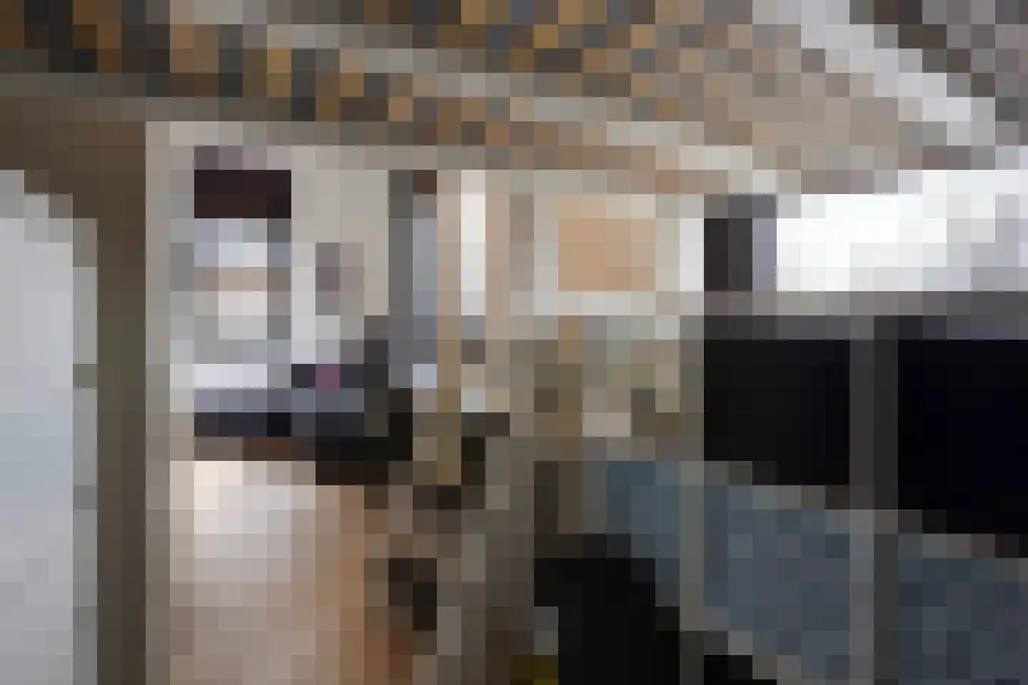 Gardameerpad 12 Zoetermeer thumbnail 45