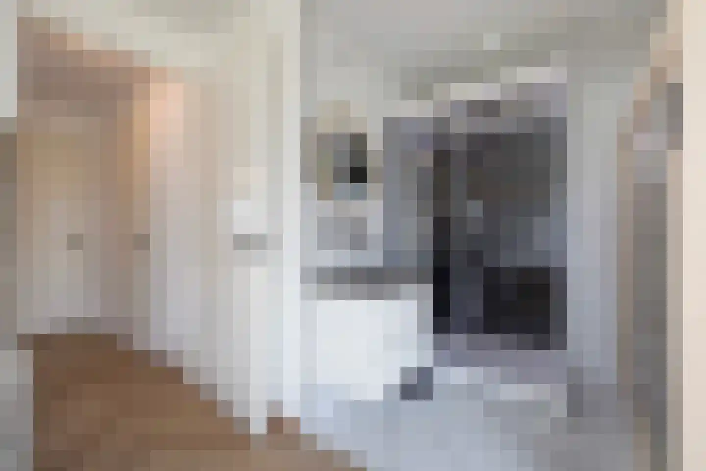 Gardameerpad 12 Zoetermeer thumbnail 48