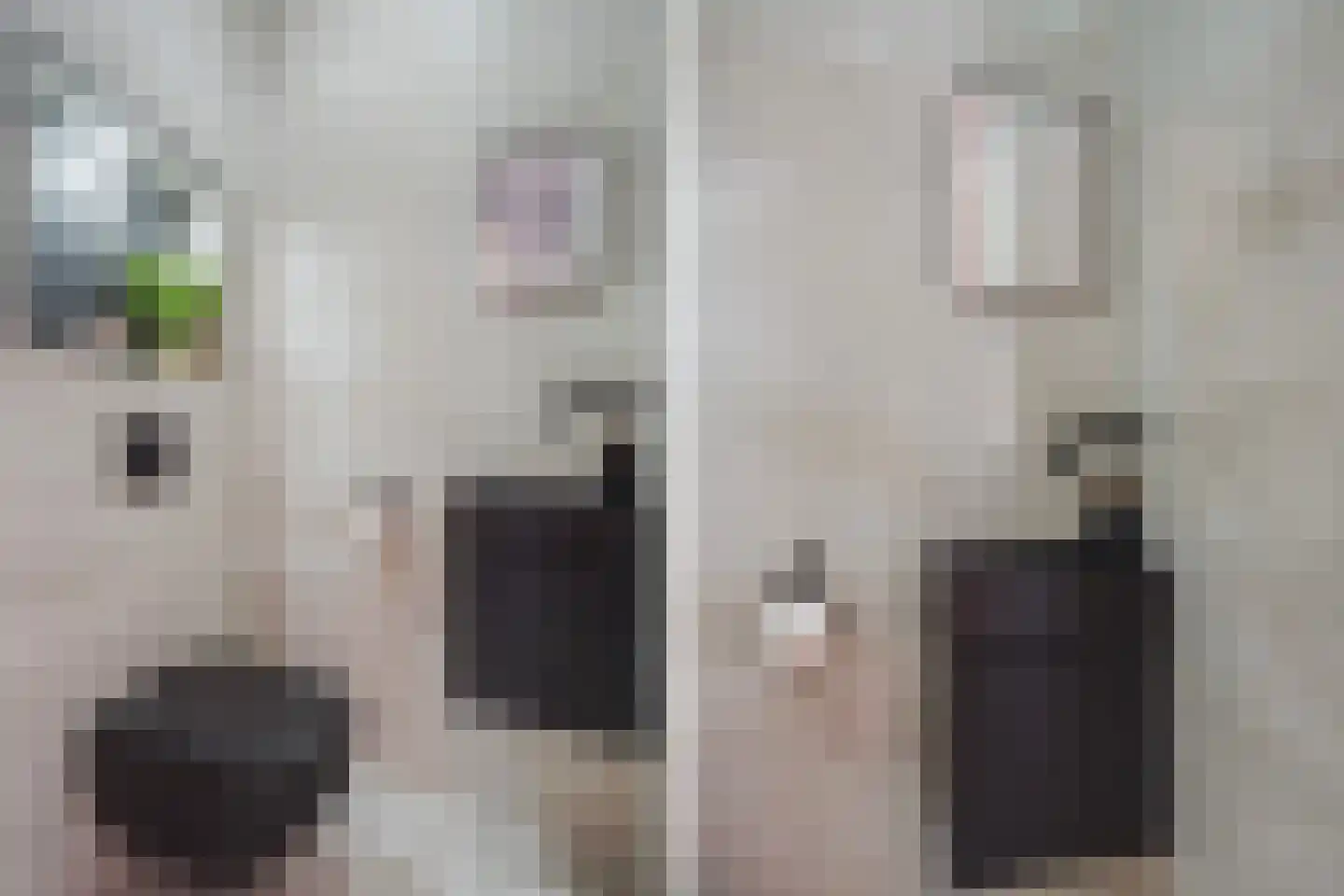 Gardameerpad 12 Zoetermeer thumbnail 5