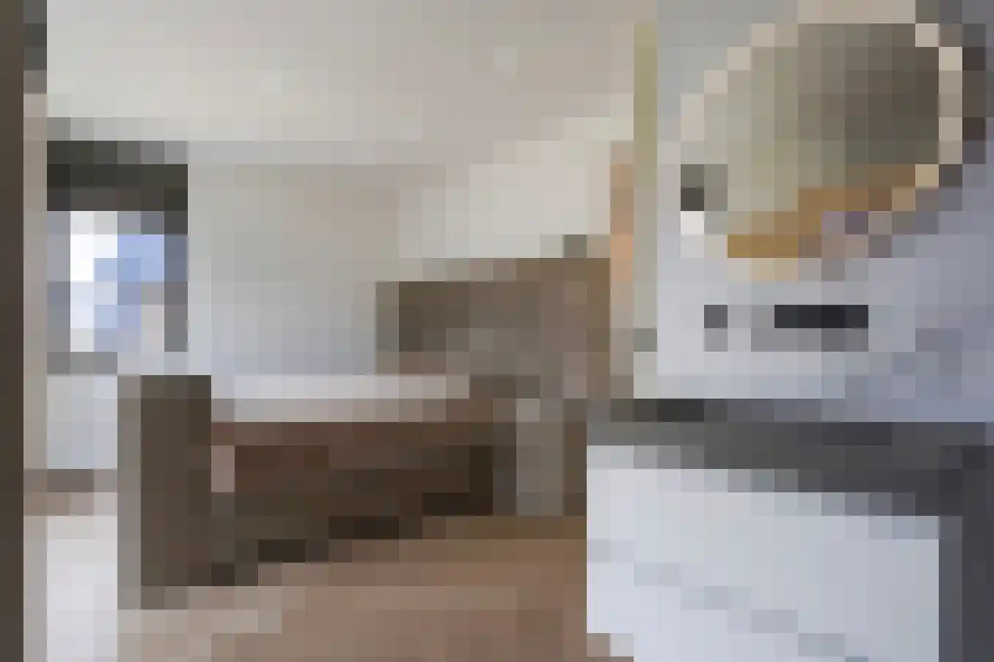 Gardameerpad 12 Zoetermeer thumbnail 50