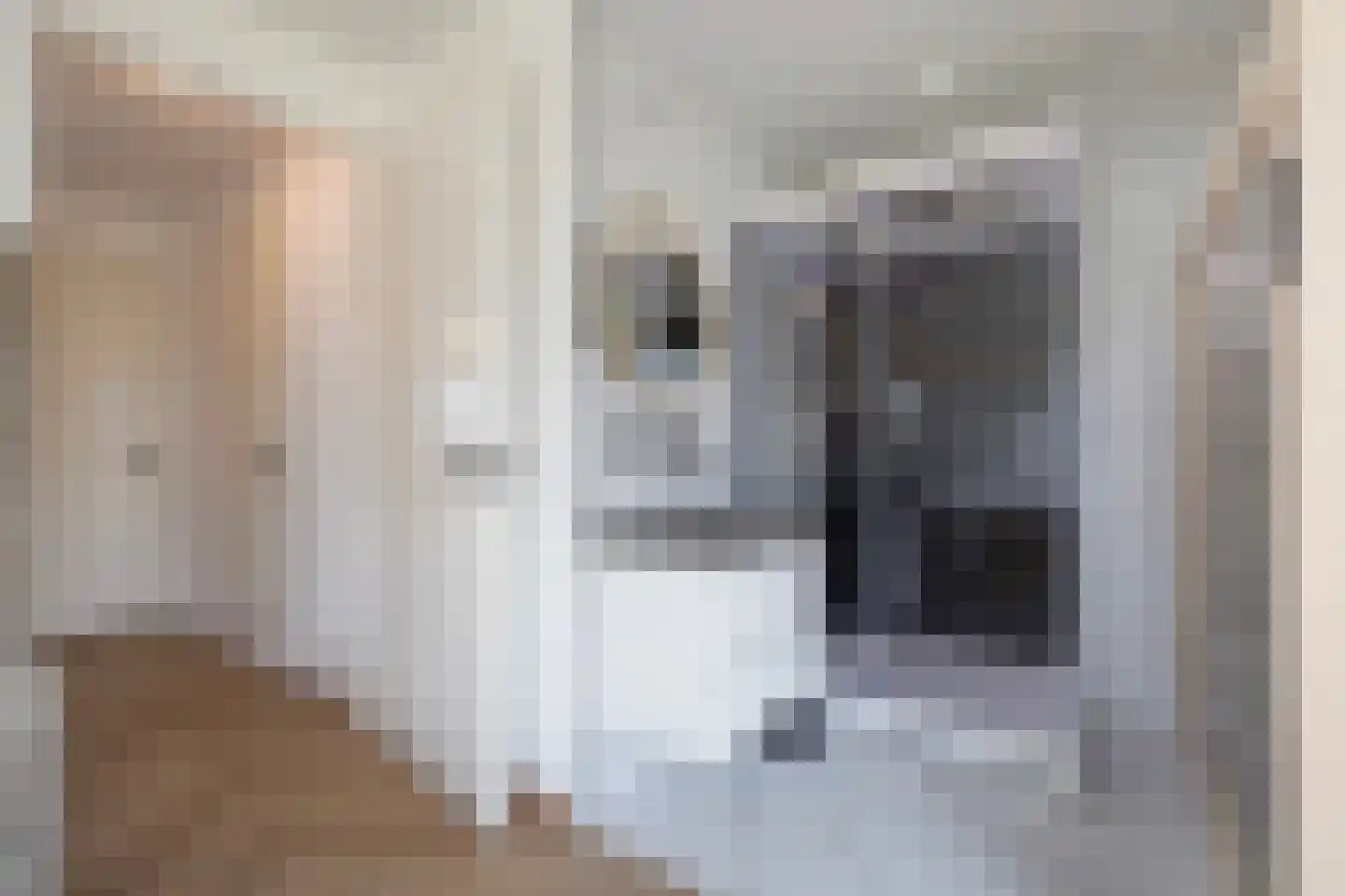 Gardameerpad 12 Zoetermeer thumbnail 51