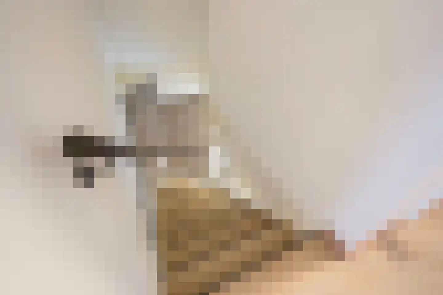 Gardameerpad 12 Zoetermeer thumbnail 54